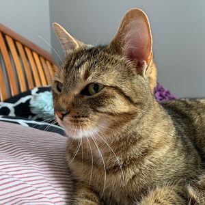 Meet your Posher, Carrie